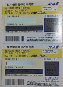 ANA株主優待２枚組 有効期限2024年11月30日 