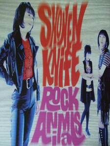 1993年 Shonen Knife 少年ナイフ / ROCK ANIMALS / プロモーションポスター / Virgin Record / 当時物 非売品 米国製 未使用品 NIRVANA 