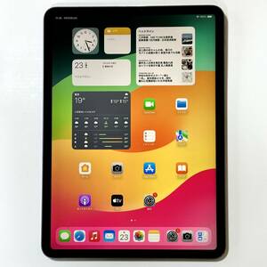 Apple iPad Pro (11インチ) (第2世代) スペースグレイ 256GB MXDC2J/A Wi-Fiモデル iOS17.4.1 アクティベーションロック解除済