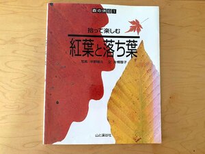 拾って楽しむ紅葉と落ち葉◆森の休日1（片桐啓子,平野隆久,山と溪谷社2002年初版4刷）落ち葉図鑑