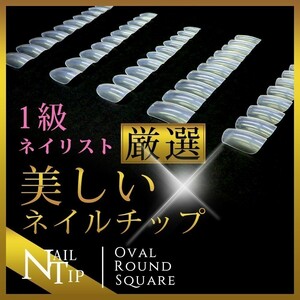 ネイル【1級ネイリスト厳選】★ラウンドベリーショー【No、6】　☆彡★　極上ネイルチップ　クリア　ネイル 50枚入り