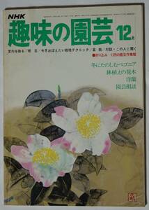 NHK趣味の園芸　昭和52（1977）年12月号　ベゴニア/鉢植えの花木/洋ラン/盆栽/樹芸　折り込みあり