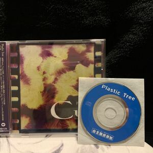 Plastic tree/Cut/初回盤CD+特典コメント8cmCD/有村竜太郎