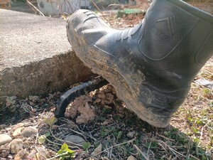 ブーツスクレーパー　泥落とし　ガーデニングや畑作業の必須アイテム　ロートアイアン　鍛造　泥汚れスッキリ！