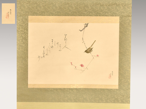 【真作】掛布弓月「鶯自画賛」共箱 掛軸 掛け軸 横幅 美品 書画 絵画　y0726