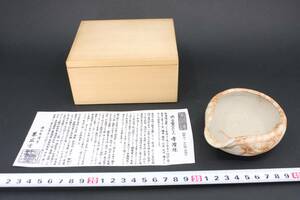 4710 新品未使用 常滑焼 茶器 煎茶道具 一菁 八木一菁 上品な 白泥 藻掛 湯冷し 栞