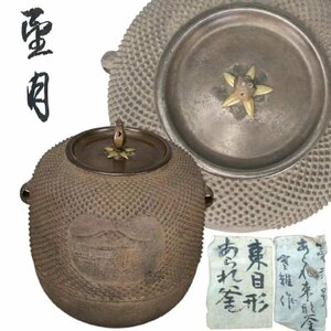 F0815 霰紋鉄釜 山水図 葉双耳 花蕾銅摘蓋 茶道具 煎茶道具 鉄釜 茶釜 風炉釜 茶湯釜 茶器 箱付 時代物 傷有り