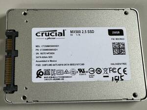 CRUCIAL SSD 250GB【動作確認済み】1515