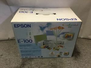 EPSON フォトプリンター E-100 エプソン