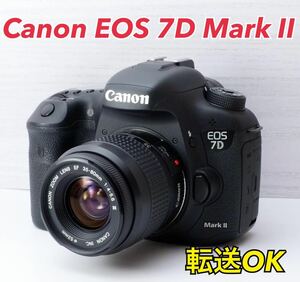★Canon EOS 7D Mark Ⅱ★最強AF●スマホ転送●豪華な付属品 1ヶ月動作補償あり！