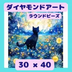 【お値下げしました！】ダイヤモンドアート☆黒猫【大きめサイズ】