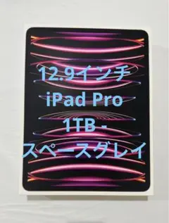 iPad Pro Wi-Fi 1TB - スペースグレイ