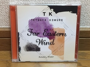 小室哲哉 / Far Eastern Wind AutumnとWinter シンセサイザー エレクトロ アンビエント 傑作 帯付 2CD globe / KEIKO / KCO / TM NETWORK