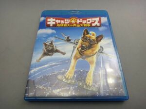 [DVD]キャッツ&ドッグス　地球最大の肉球大戦争 　中古美品(DVDのみです）