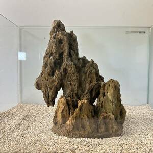 気孔石山（美型） 一点物の水槽オブジェ No. 4948 (45cm水槽)(W約20cm/H約25cm)