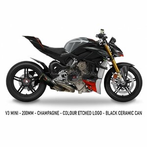 DUCATI STREETFIGHTER V4 2020～2024 AUSTINRACING オースティンレーシング