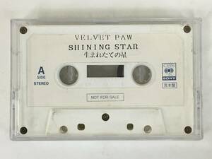 ★D614 未音源化 非売品 VELVET PAW ベルベットパウ SHINING STAR 生れたての星 カセットテープ CBS・ソニー コンテスト グランプリ受賞曲