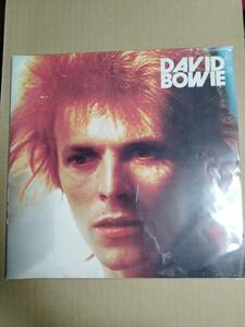 デビッド・ボウイ　初来日　コンサート　パンフレット　DAVID BOWIE JAPAN TOUR PROGRAM パンフレット　デヴィッド・ボウイ