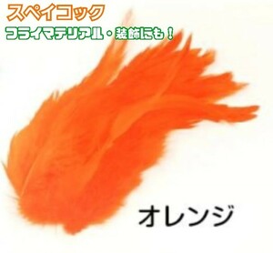 スペイコック【オレンジ】20本　フライマテリアル・装飾にも！羽根　フェザー