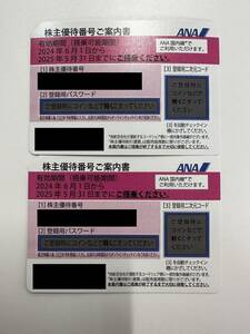【TN0514】ANA 株主優待券 × 2枚 有効期限：2024年6月1日から2025年5月31日まで ピンク 旅行券