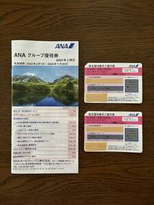 ANA 全日空　株主優待券 2枚　グループ優待券付　2025年5月31日迄