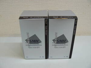 28612●ルアン スーパーミリオンヘアー 30g No.2 ダークブラウン 2個セット　新品未開封品