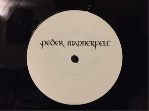 Peder Mannerfelt - III ( techno minimal bass music experimental avian haven テクノ ダブ )