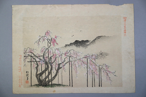 he5) 平安諸大家名所画譜十 山田松渓 木版画 発行者 青木恒三郎 明治27年 彩色木版刷 ＜浪花嵩山屋本板 青木嵩山堂 浮世絵 日本画