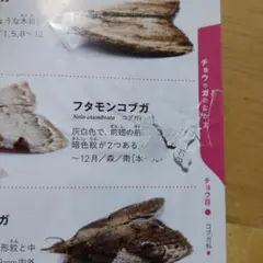 確認