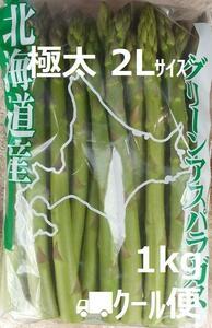 【農家直送】訳あり北海道産 極太グリーンアスパラ 2Lサイズ　1kg 