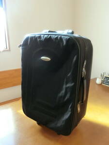 旅行鞄　トラベルバッグ　キャリートランク