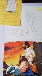 ドラゴンボールZ スーパーサイヤ人ベジット　セル画と動画のセット　作画記録　鳥山明