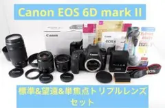 ☆Canon EOS 6D mark II標準&望遠&単焦点トリプルレンズセット