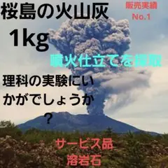 ご購入頂いた後採取☆　鹿児島　桜島　火山灰　約1kg　サービス品付き　理科の実験