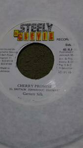 Sweet Dancehall Cherry Promise Garnet Silk from Steely & Clevie