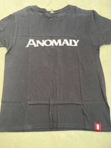 the HIATUS　ザ・ハイエイタス　ANOMALY TOUR 2010 OFFICIAL MERCH 　Tシャツ　S