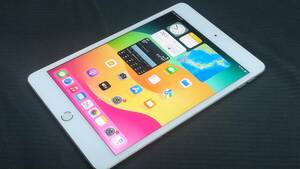 【美品♪】au Apple iPad mini 5 第5世代 Wi-Fi+Cellular 256GB A2124(MUXD2J/A)判定〇/シルバー/動作品
