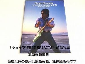 「浜田省吾 Shogo Hamada A PLACE IN THE SUN at 渚園 Summer of 1988　劇場公開用パンフレット」美品