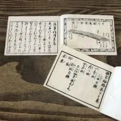 to8215 古い和本 琴曲洋峨 撫箏雅譜集 2冊揃い 古書 アンティーク