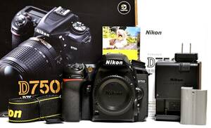 極美品　Nikon D7500　デジタル一眼レフカメラボディ　ショット数 4939