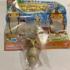 はちゅはちゅチャーム  レオパードゲッコー