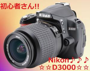 初心者さんおすすめ♪標準レンズセット!! Nikon D3000 #6203