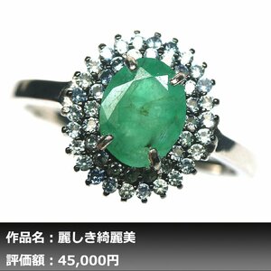 【1円新品】イケゾエガレ｜3.50ct 天然エメラルド&サファイア K14WG仕上リング 19号｜作家モノ｜本物保証｜NGL鑑別対応