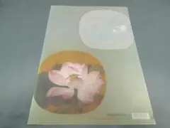 美術館グッズ【2176】　A4版クリアファイル　夜合花図冊・出水芙蓉図冊　南宋