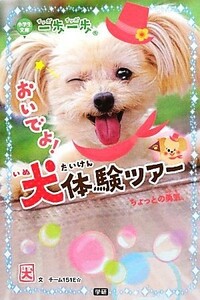 一歩一歩おいでよ！犬体験ツアー ちょっとの勇気。／チーム１５１Ｅ☆【文】