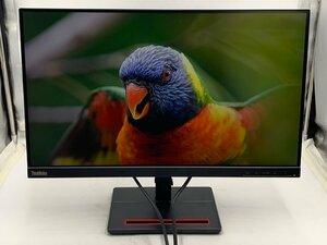 Lenovo ThinkVision S24e-20 23.8型(インチ) ワイド フルHD（1920x1080） VAパネル ノングレア(非光沢) D-Subx1/HDMI1.4x1 高さ調整