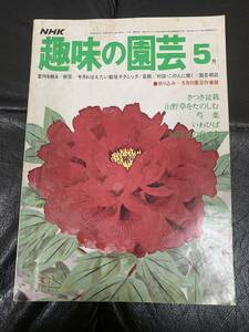 ★昭和52年★NHK 「趣味の園芸」５月　盆栽　山野草　薬　いわひば　宿根草の育て方　（奥ベッド下保管）