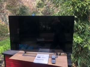 東芝REGZA デジタルハイビジョン液晶テレビ49G20X 京阪神地区お届けサービス