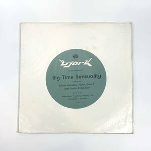3763 Bjork ビョーク Big Time Sensuality アナログ盤 2LP レコード 