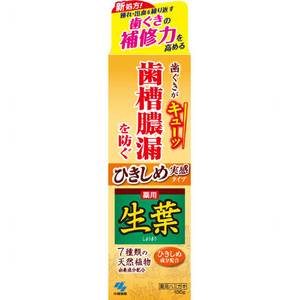 ひきしめ生葉100G × 48点